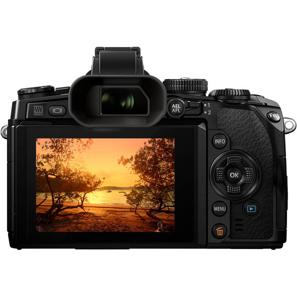 Цифровая системная фотокамера OLYMPUS E-M1 KIT (12-40) Black/Black